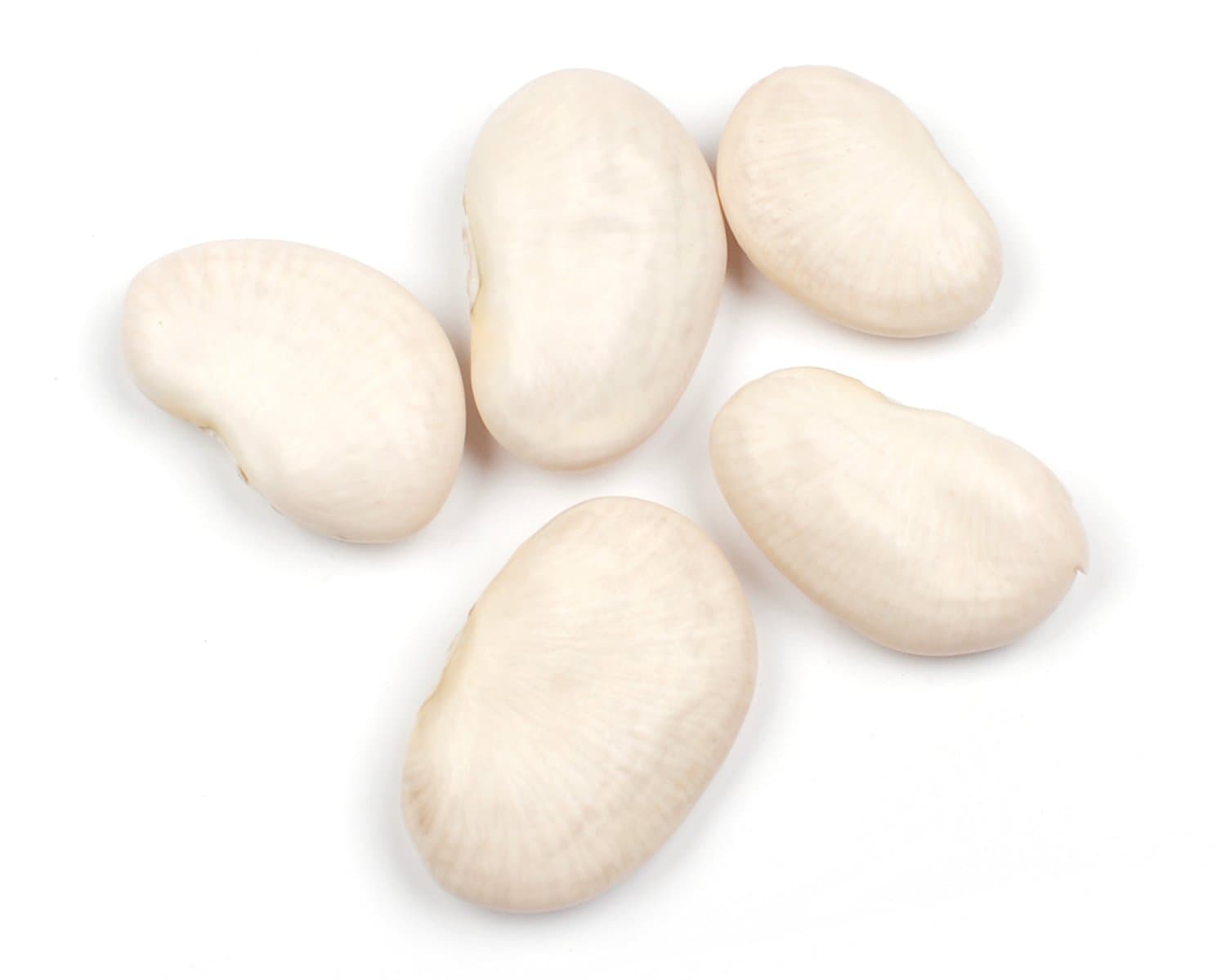 Giant Peruvian Lima Beans, 10 Pound Box