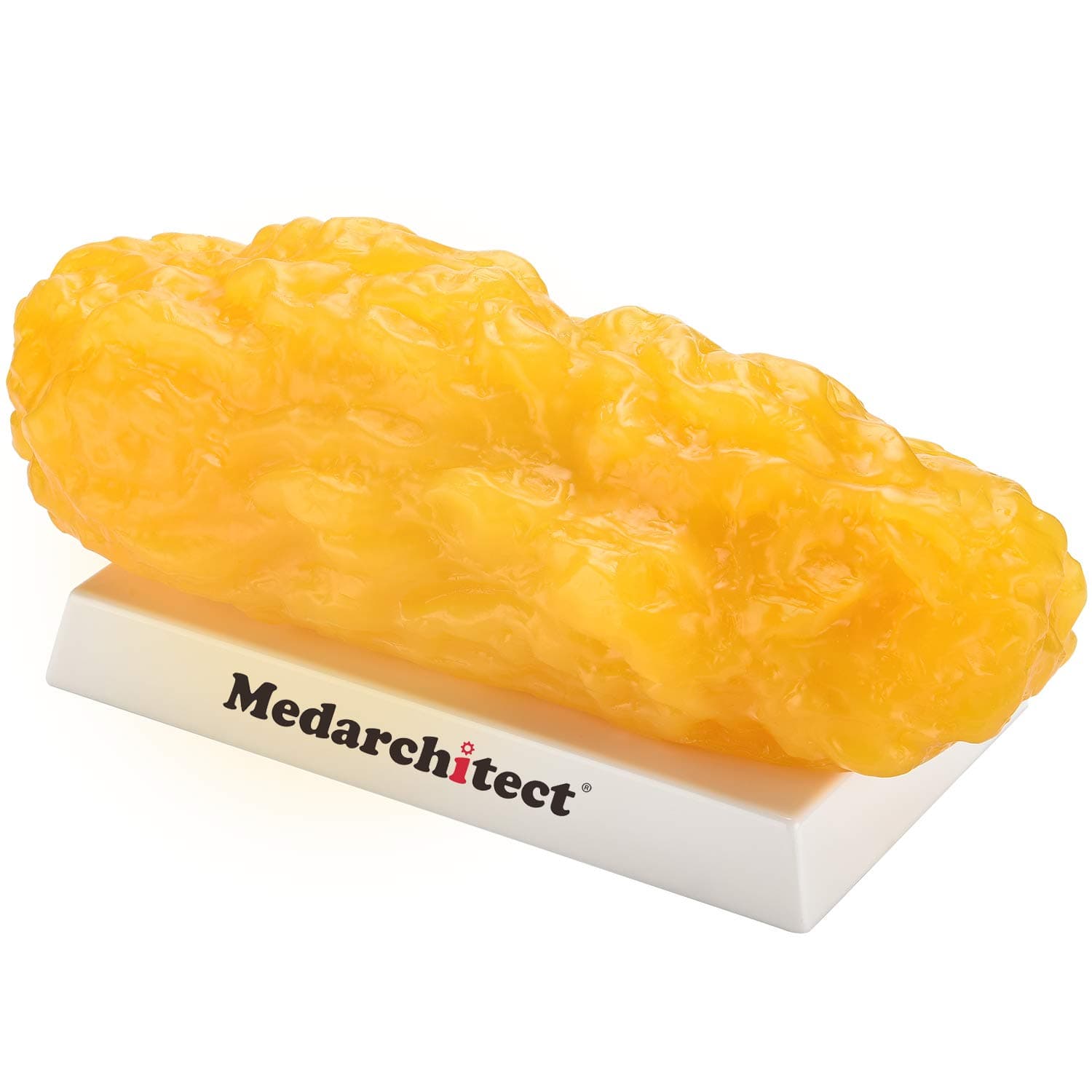 Authentic Human Body Fat Replica - 5 lb, Keep Fit & Weight Loss Motivation & Reminder, Human Fatty Tissue Demonstration Model for Nutritionist, Anatomical Science Course (5lbs)