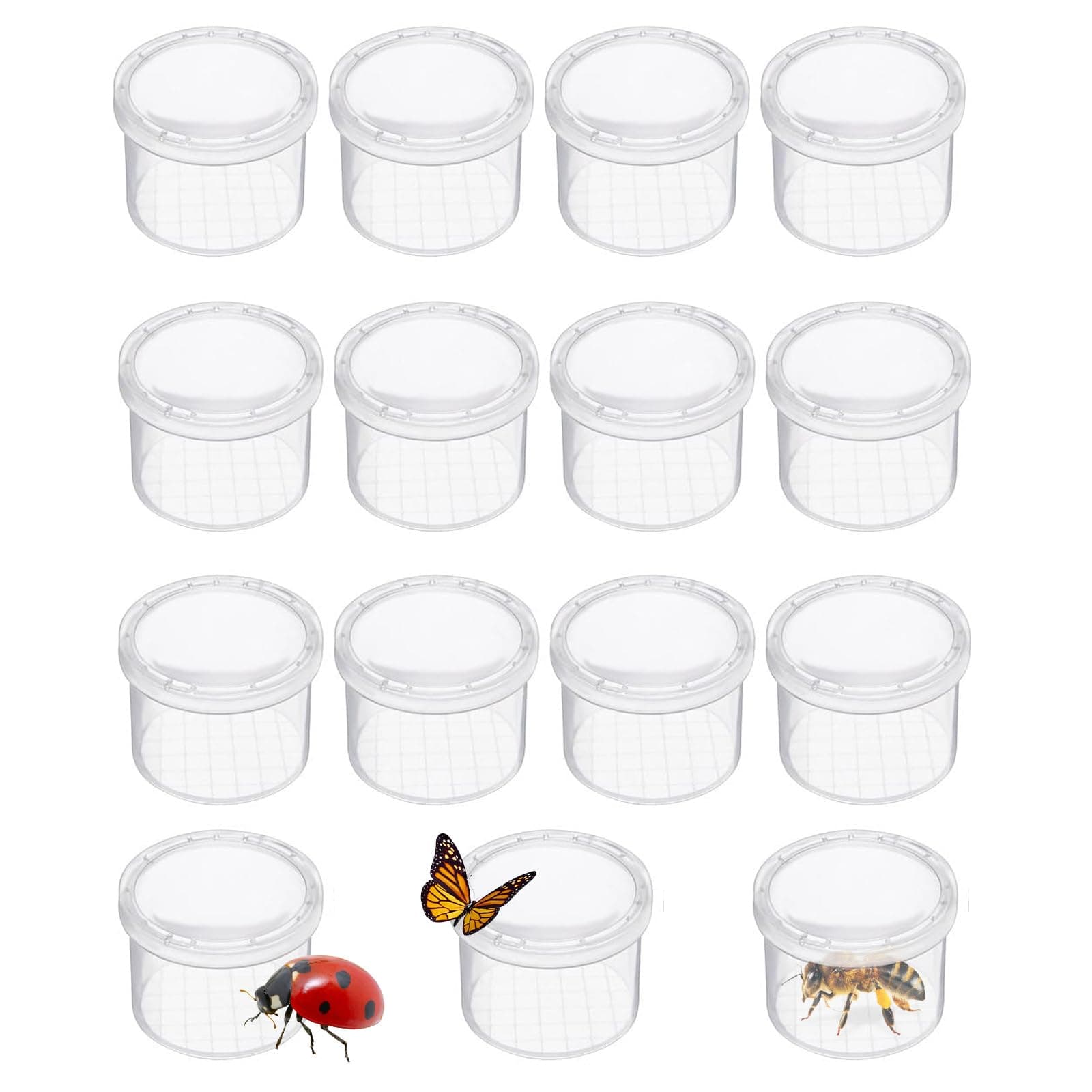 Magnifying Bugs Viewer Critter Cage Bug Boxes 12 Pack Bug Jars Nature Exploration Insect Magnifier Backyard Explorer Sample Collection Entomology Class