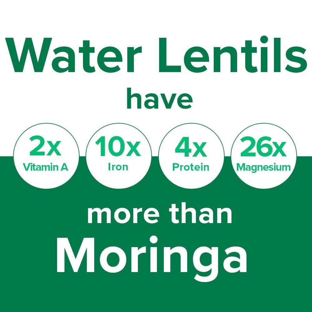 Real Source Water Lentil Lean - Leafy Green Water Lentil Shake Powder, Flavor: Caramel Latte, 15 Servings, 1 Serving = 2 Servings of Veggies, Vegan, Soy and Gluten Free superfood