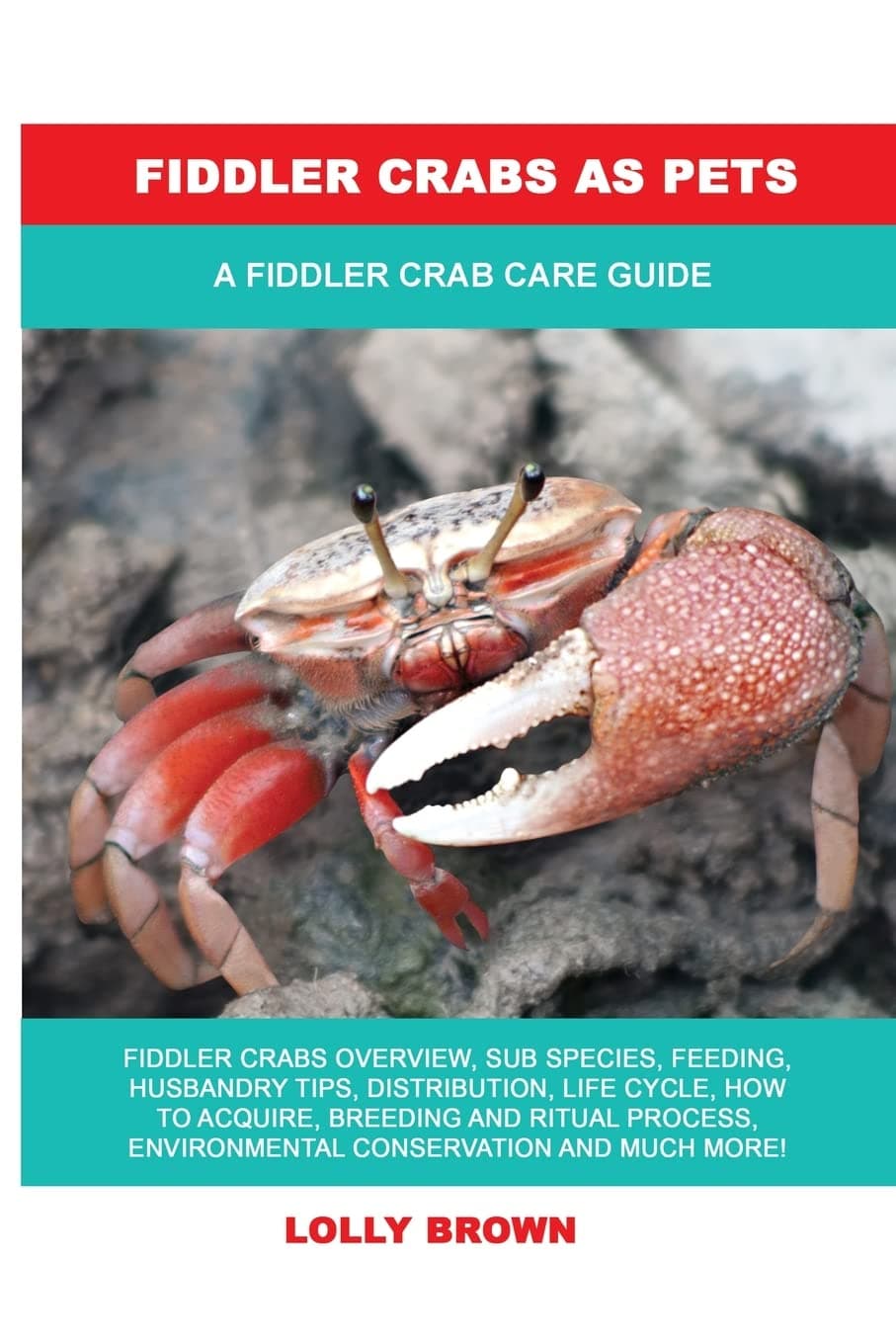 Fiddler Crabs as Pets: A Fiddler Crab Care Guide