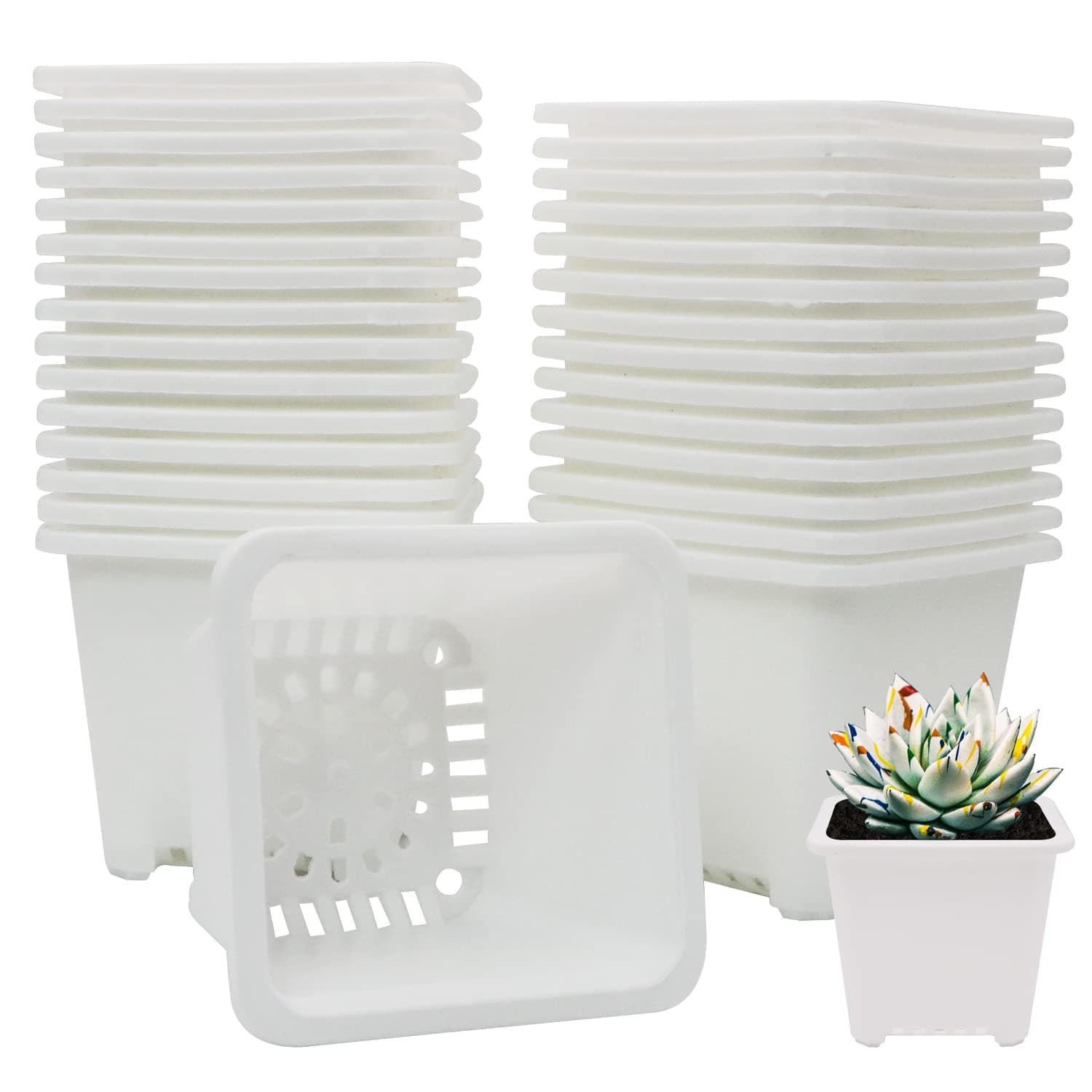 Plastic Square Nursery Pots 30 Pcs 3.8 Inch Square Plant Pot Durable White Starter Container for Starting Seedlings or Garden Plant