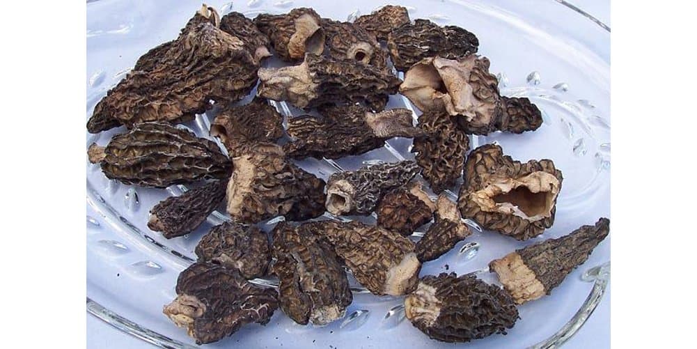 Dried Morel Powder 4 oz