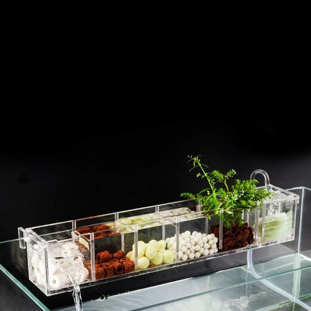 BTDH 6 Grids Transparent External Hang on Filter Box Aquarium Fish Tank Acrylic Aquarium Ba-by Fish Tank LED Light Bree-ding Ha-tch-ery Box