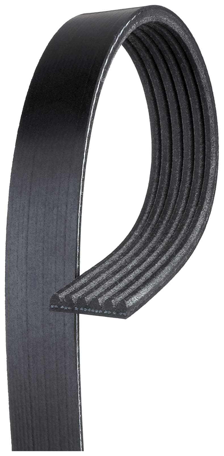 K061005 Micro-V Serpentine Drive Belt