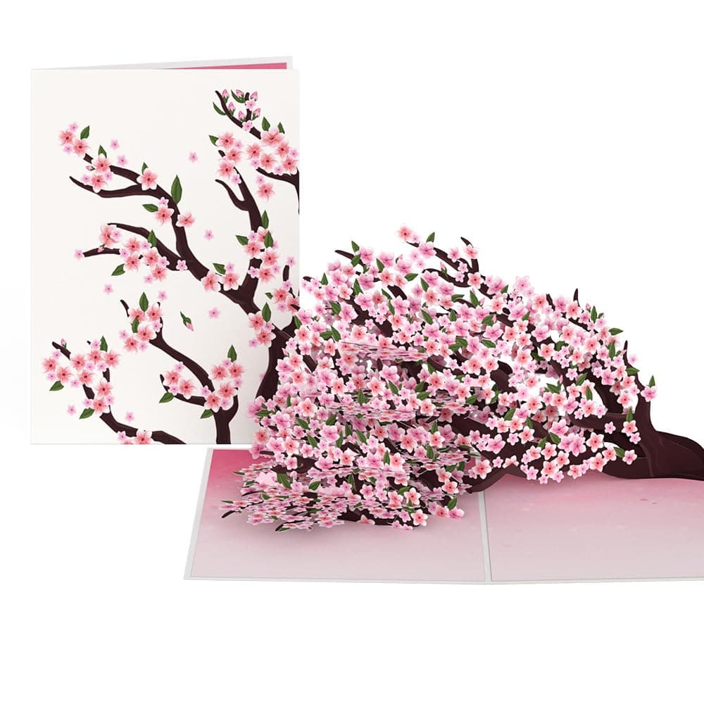 Lovepop Spring Pop-Up Card for Her and Him - 3D Greeting Cards for Boys, Girls, Men, Women - Cherry Blossom Branches - 5" x 7" Card - Blank Note Card & Envelope Included