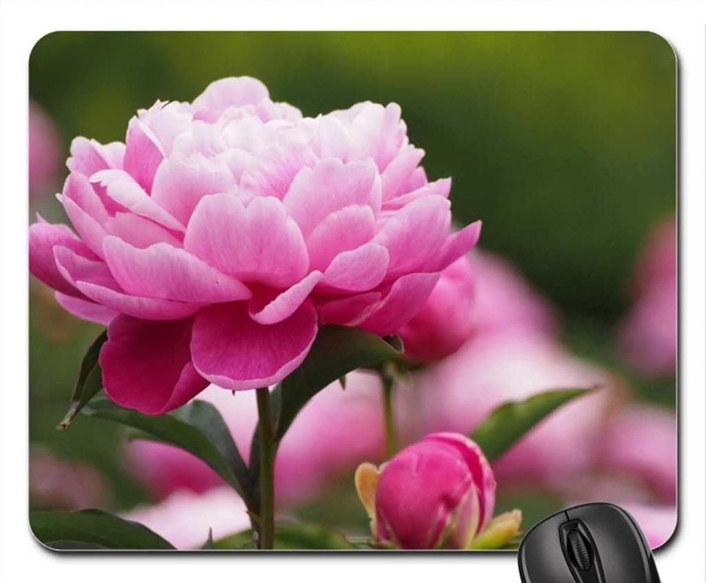 Pink Peony Mouse Pad, Mousepad (Flowers Mouse Pad)