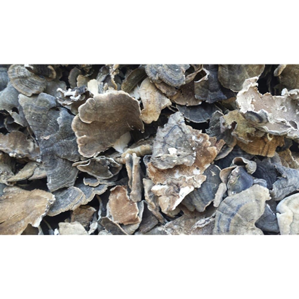 Dried Turkey Tail Mushrooms - 4 ounce