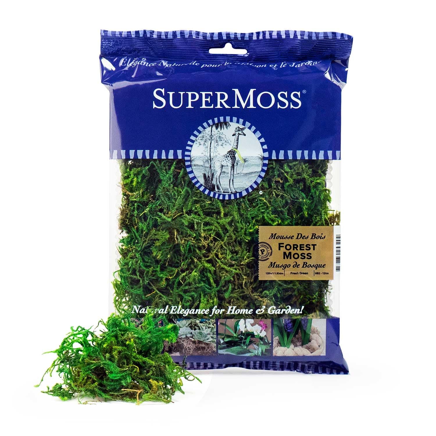 SuperMoss (25320) Forest Moss Preserved, Fresh Green, 2oz