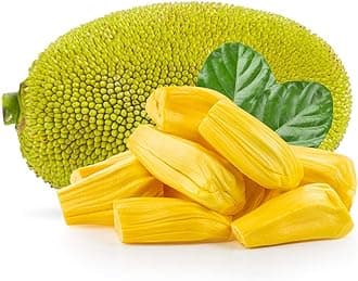 Whole Thai Jackfruit 12kg -/+10% – Fresh, Naturally Sweet & Ripe Tropical Fruit, Perfect for Juicing, Vegan Cooking, Desserts & Exotic Asian Dishes