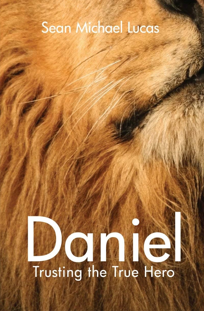Daniel: Trusting the True Hero (Big Box, Little Box) Paperback – 1 Oct. 2011