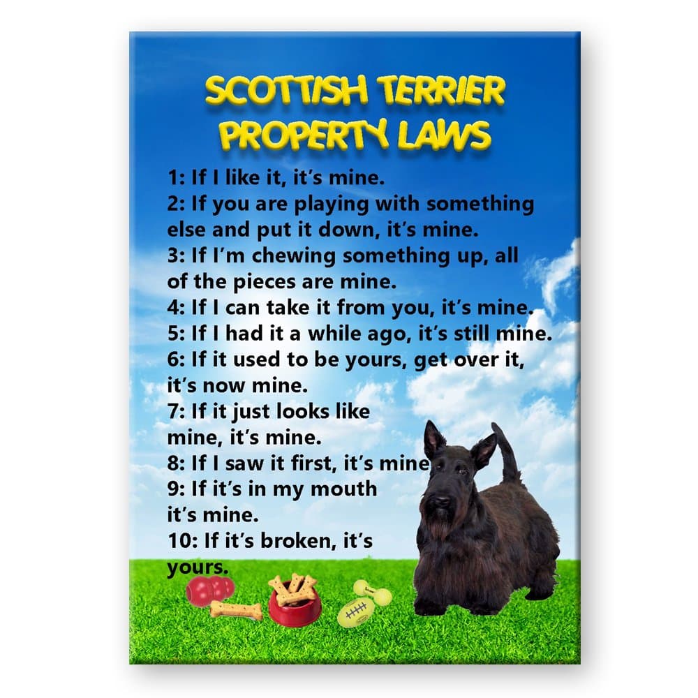 Scottish Terrier Property Laws Fridge Magnet