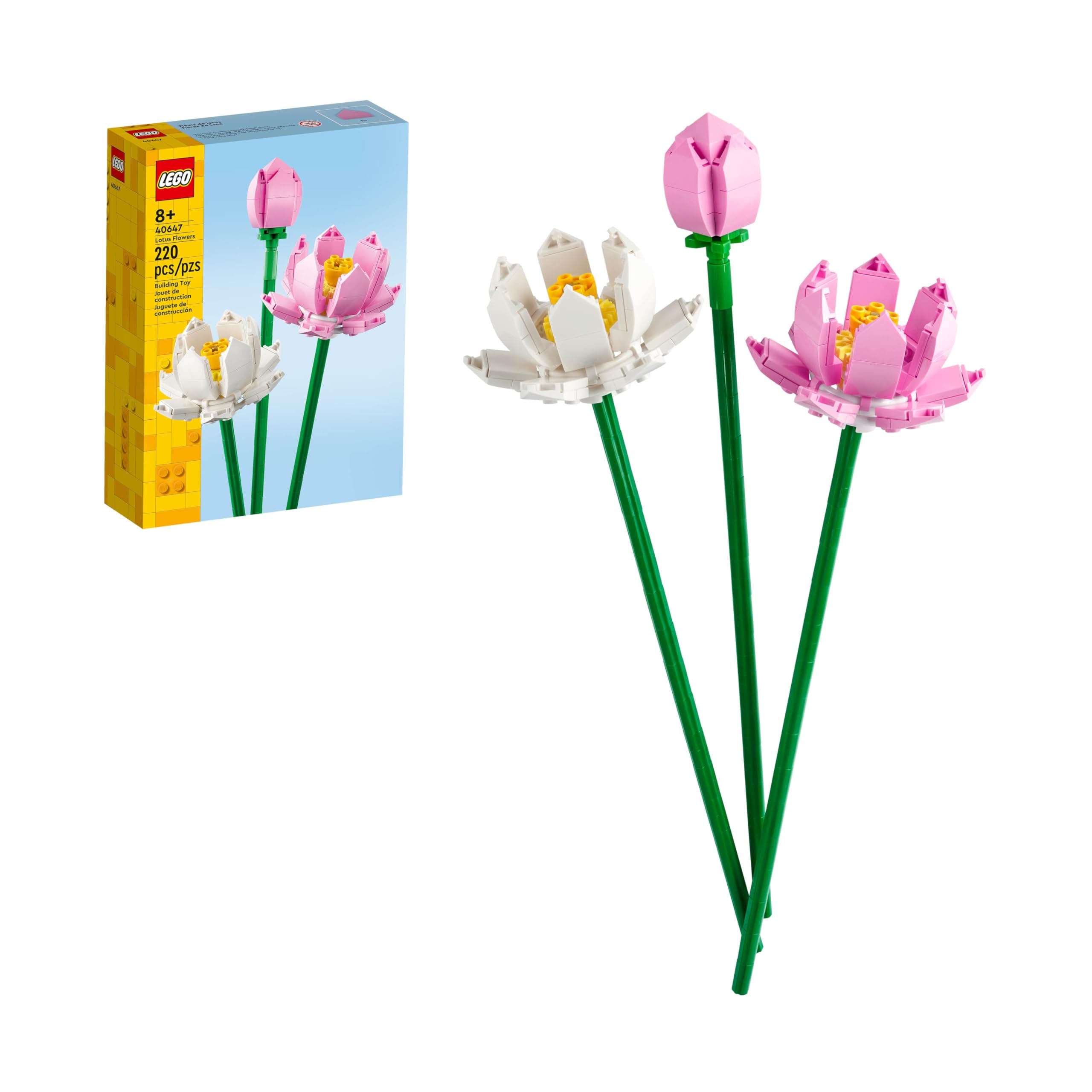40647 - Lotus Flowers