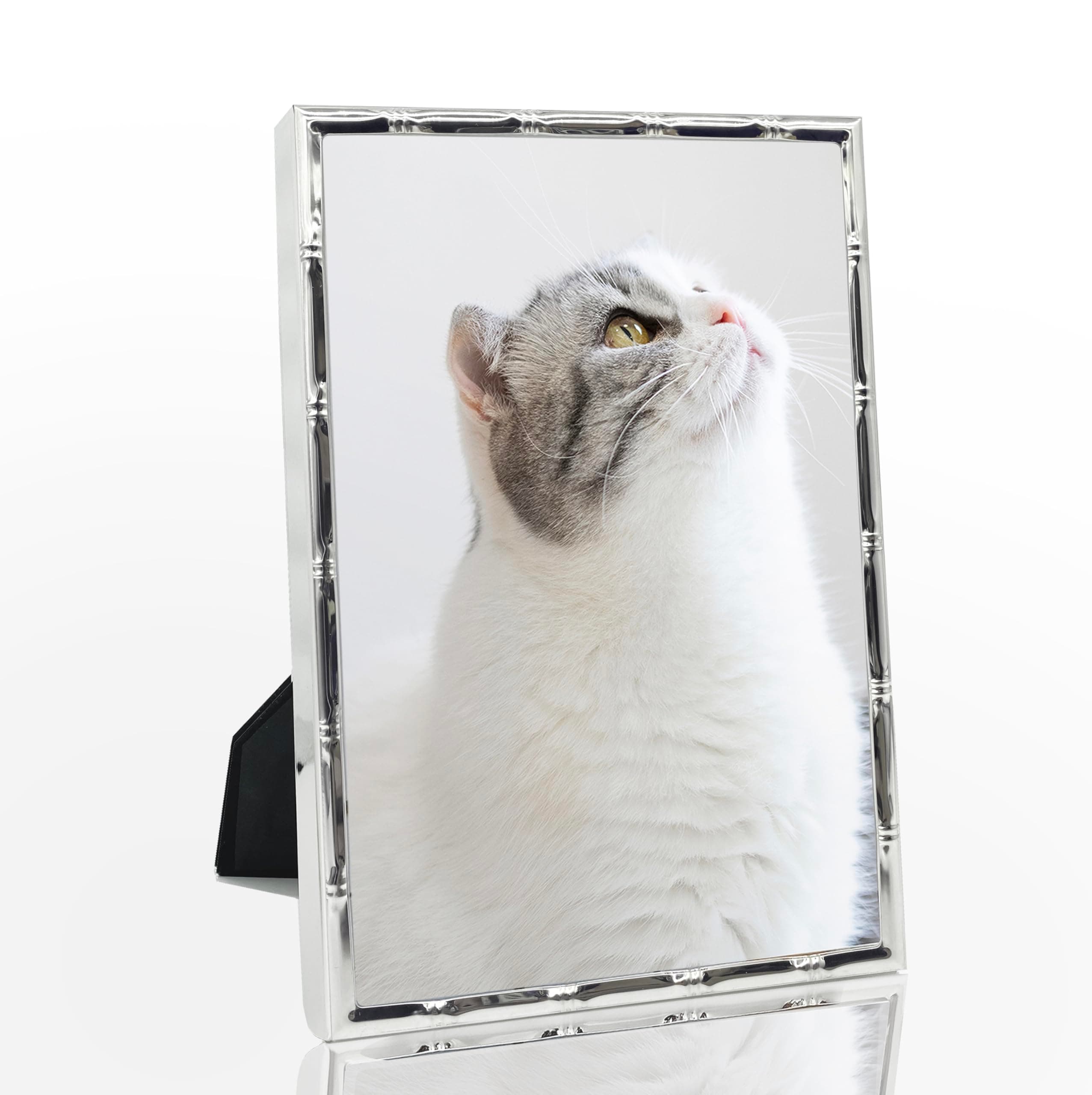 DECANIT 4x6 Picture Frame Metal,Thin Profile Photo Frame 4 by 6 Inch, Display for Wall Mounting or Tabletop,silver