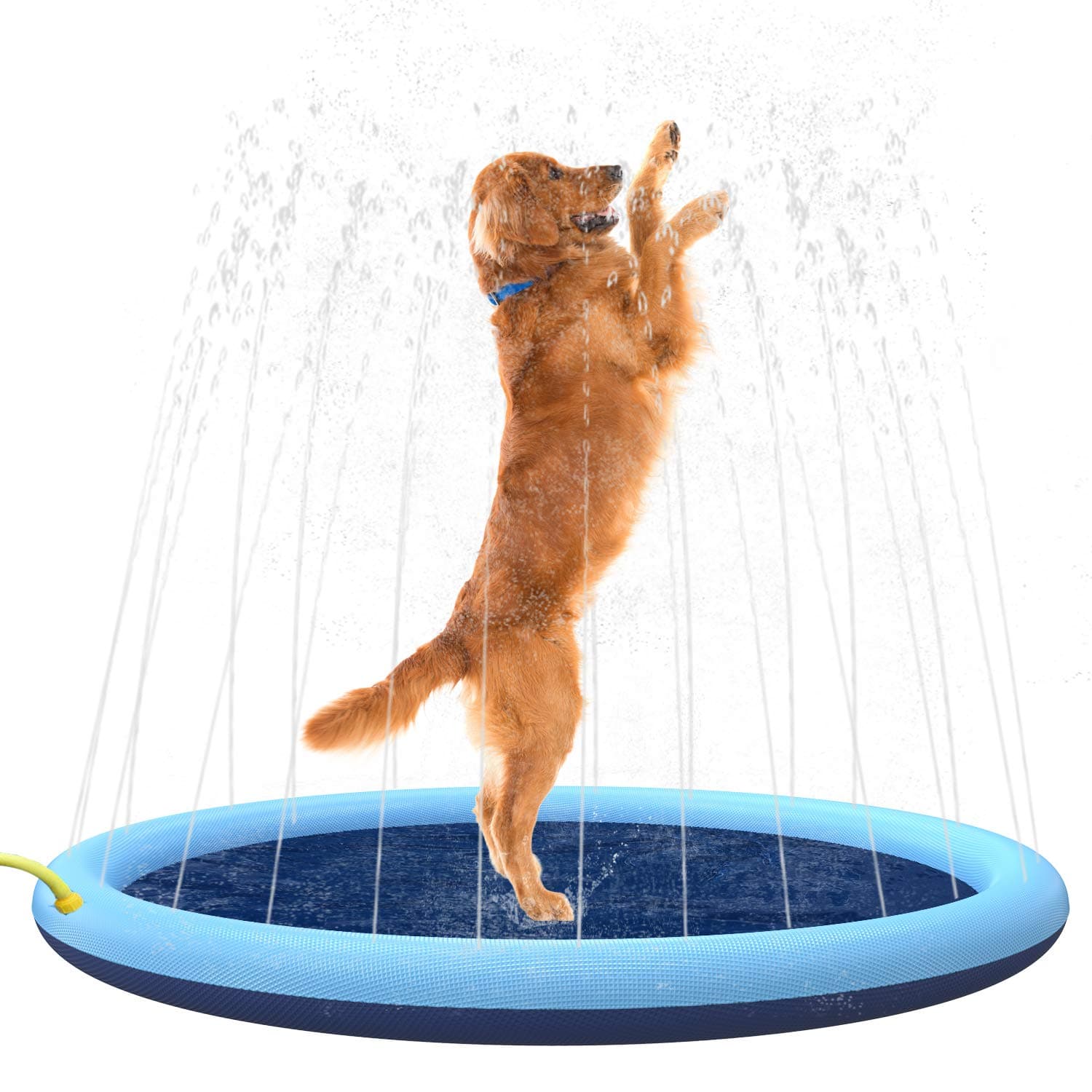 Dog Splash Pad