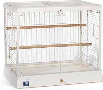 Clear View Glass Standing Bird Cage - Ideal for Small Birds like Parakeets, Budgies, Finches, Cockatiel, & Lovebirds, Stand-Alone Birdcage - White