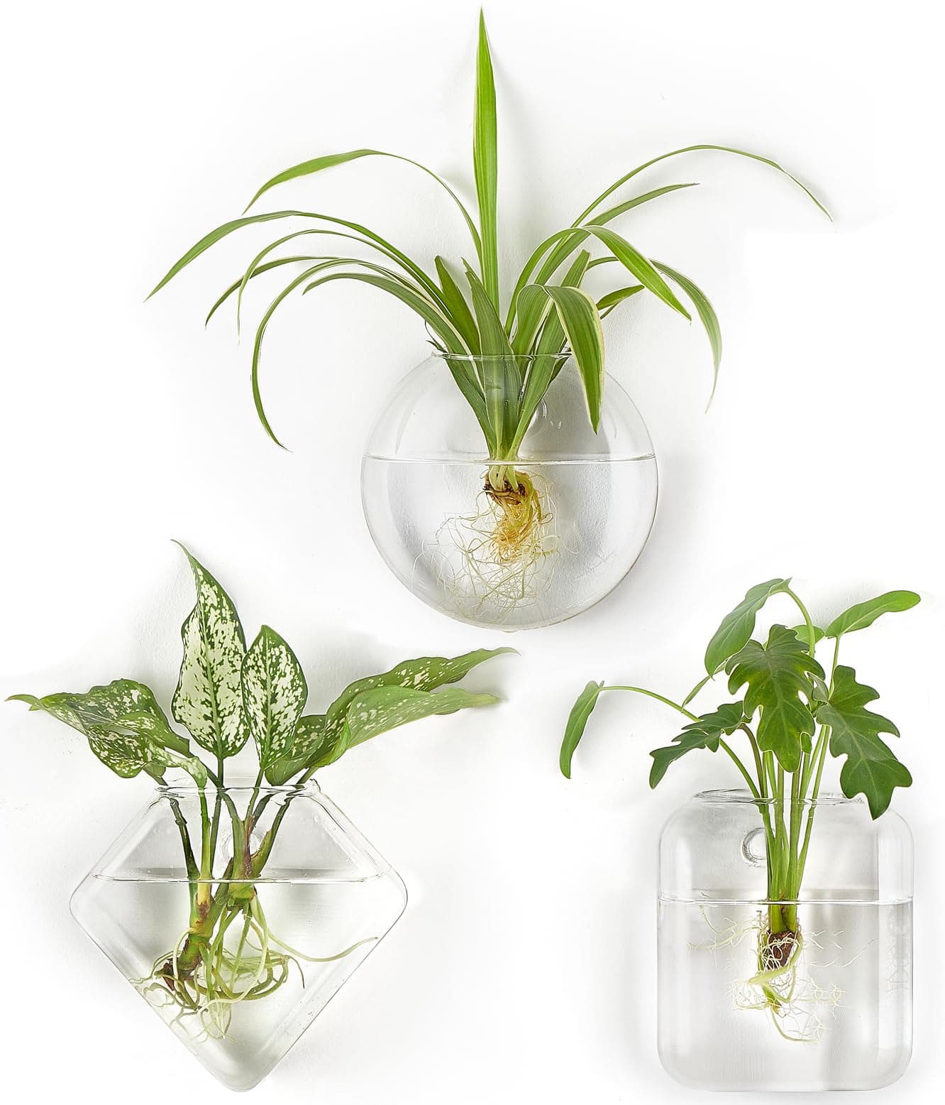Mkono Wall Planter Propagation Stations Hanging Glass Terrariums Vase Container for Propagating Hydroponic Plants Home Office Living Room Bathroom Garden Decor, 3 Pack