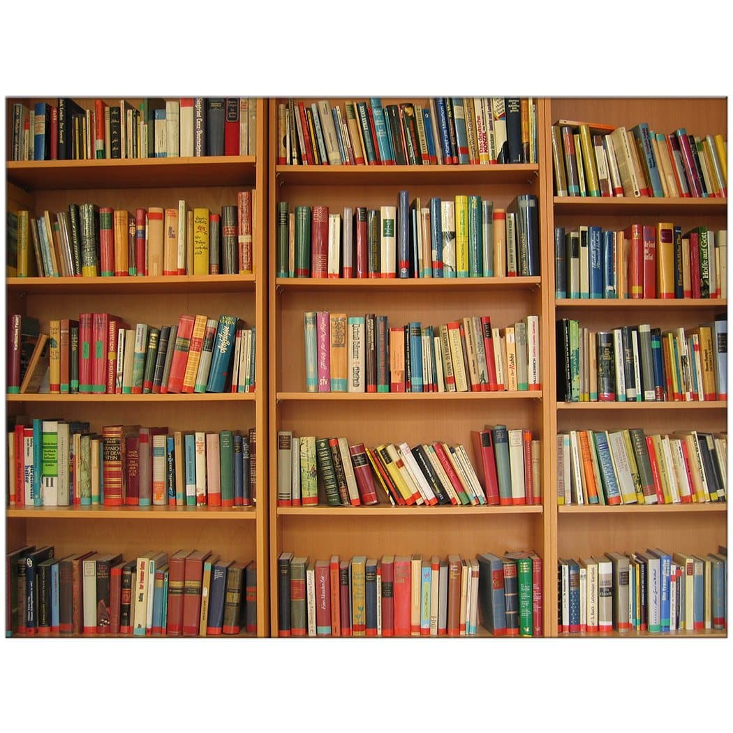 50" X 80" Blanket Comfort Warmth Soft Plush Throw for Couch Bookshelves Colorful Books