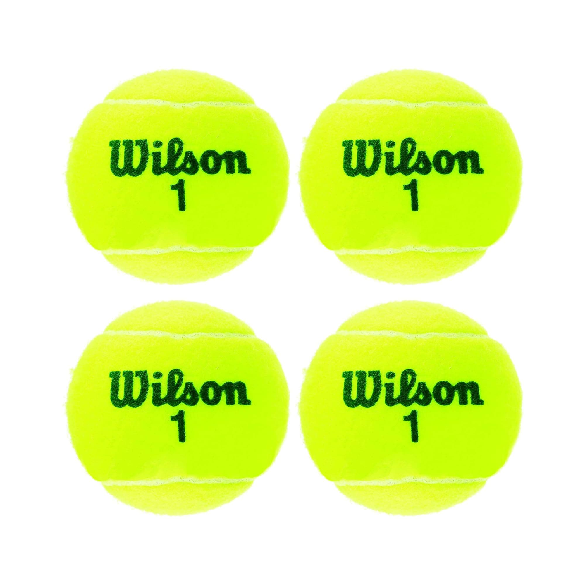 Wilson Champ Extra Duty Tennis Balls