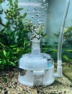 boxtech Mini Aquarium Sponge Filter，Internal Fish Tank Filter for 5-20L Fish Tank (No Include Pump and Tube)
