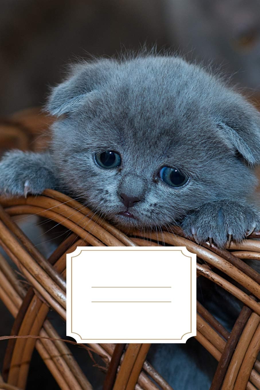 Sad Kitten Diary: A Cute Sad Kitten Face Journal To Write In