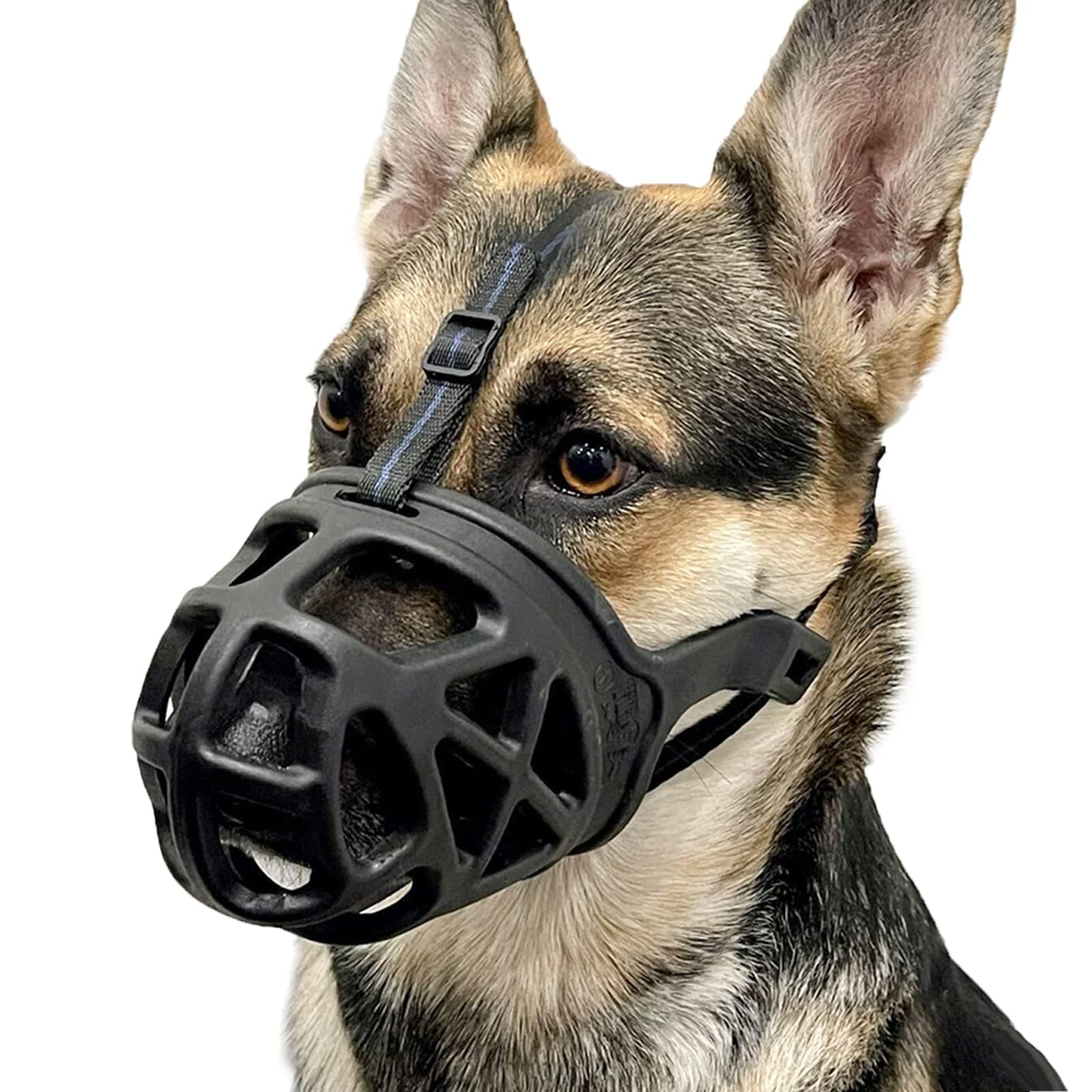 BARKLESS Dog Muzzle, Basket Muzzle for Biting, Chewing and Scavenging, Humane Cage Mouth Cover, Perfect for Grooming and Training Medium Aggressive Reactive Dogs (M, Black)
