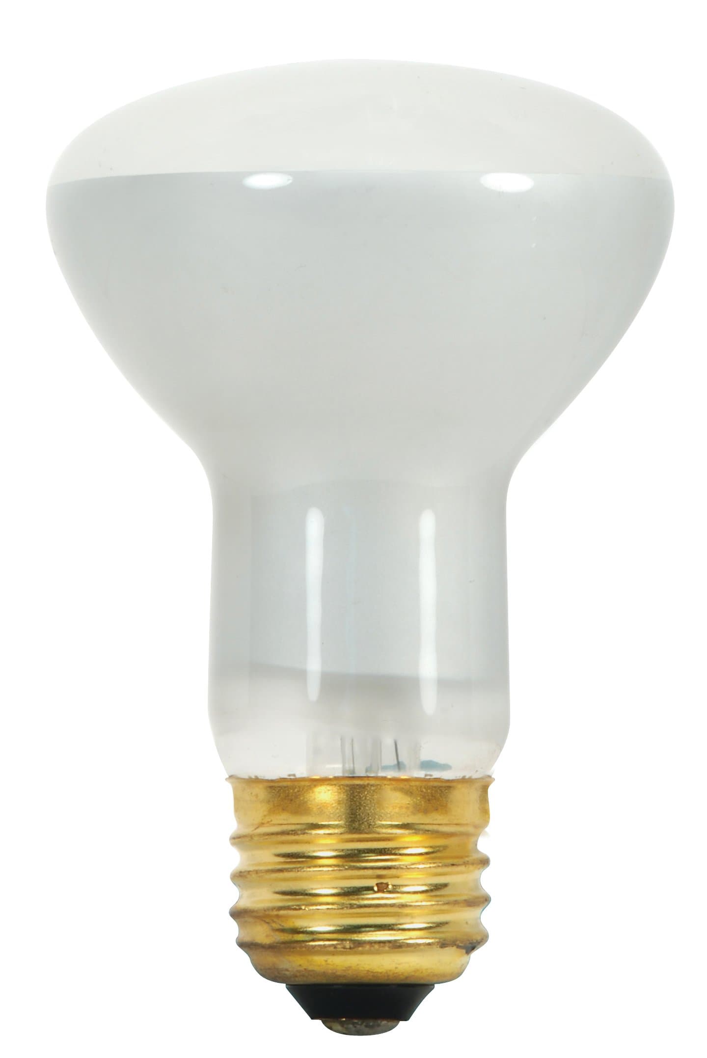 S8519 130-Volt 45-Watt R20 Medium Base Light Bulb, Frosted