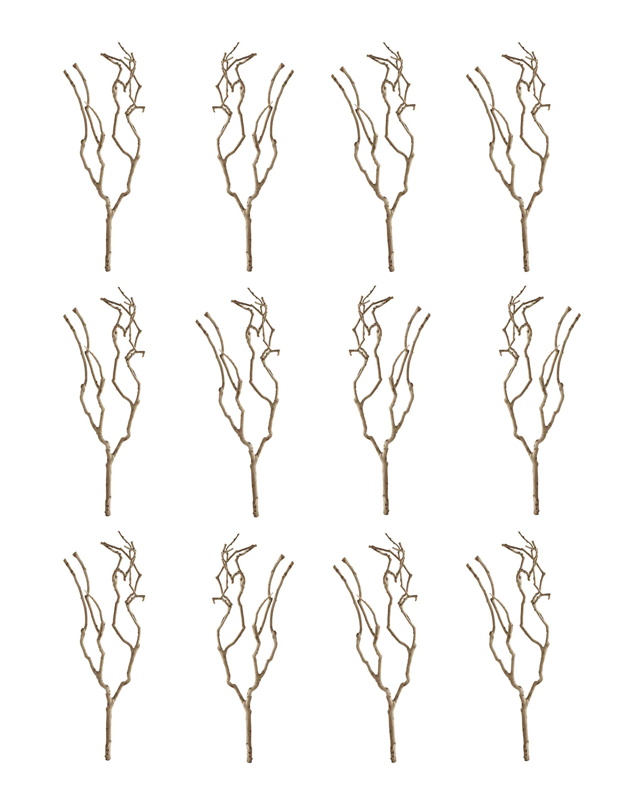 Creative Co-Op 27" Natural Tea Tree Branch Decoration (Set of 12 Pieces/Each one Will Vary)