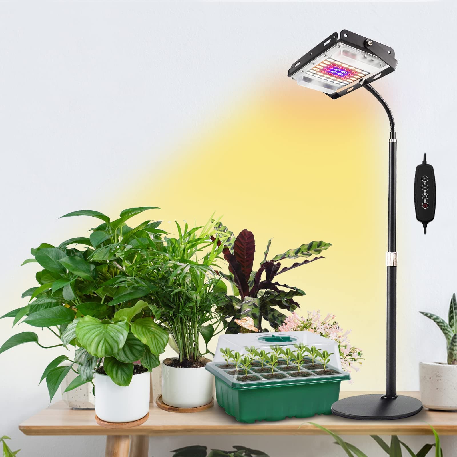 Desk Grow Light with Timer