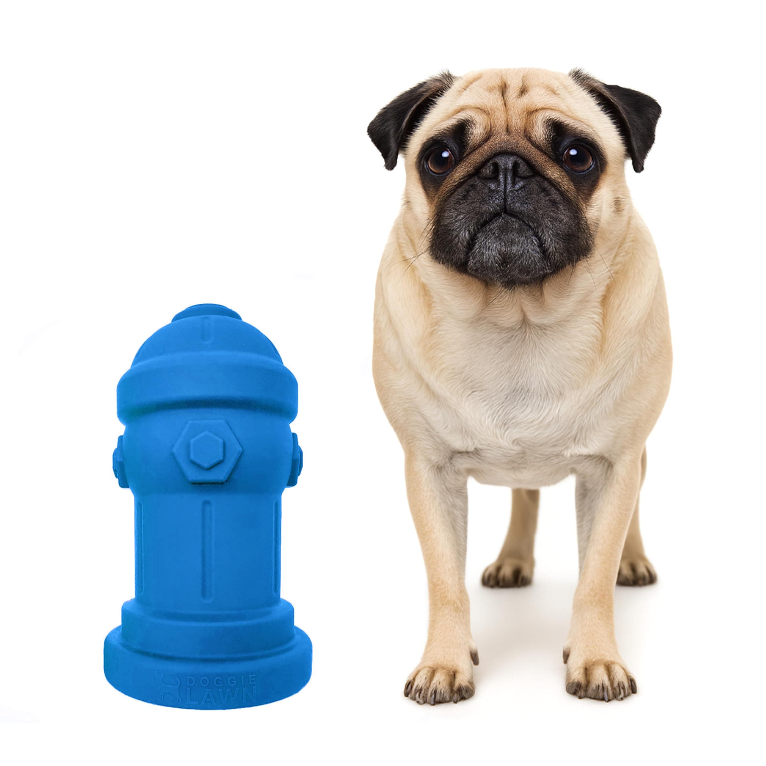 Small Dog Fire Hydrant 4x7 Silicone Soft Potty Training Aid for Small Breeds Under 10lbs Toy Breeds Indoor Outdoor Training Blue