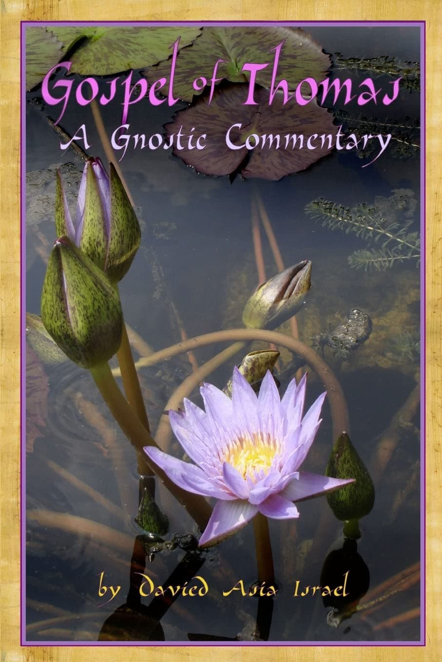 Gospel of Thomas: A Gnostic Commentary