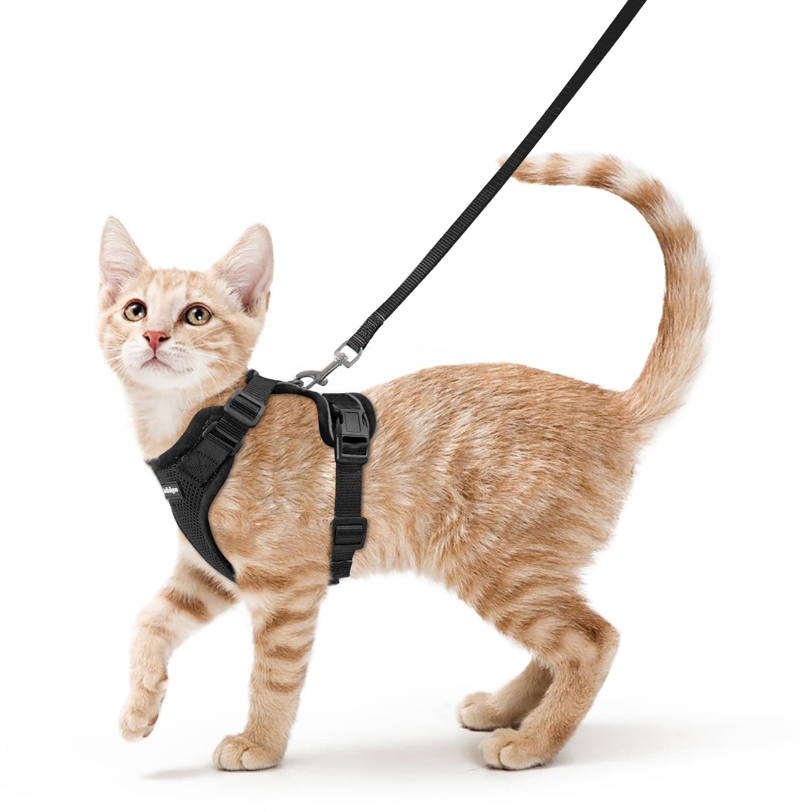 rabbitgoo Cat Harness and Leash for Walking, Escape Proof Soft Adjustable Vest Harnesses for Cats, Easy Control Breathable Reflective Strips Jacket, Black, XS