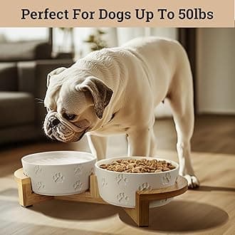 Ceramic Dog Bowls with Stand - Medium Dog Bowl Set with Stand Non-Slip - 2 Ceramic Dishes with Anti-Skid Bamboo Stand for Medium Dogs - Elevated Dog Bowls Set of 2 - Raised Pet Feeding Station