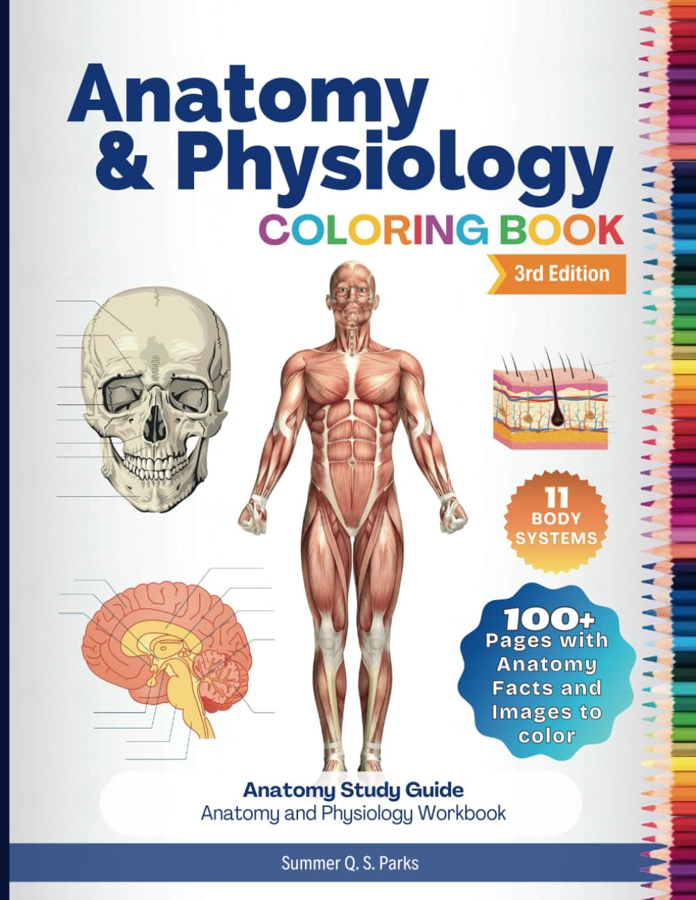 Anatomy and Physiology Coloring Book: Anatomy Study Guide. Anatomy and Physiology Workbook