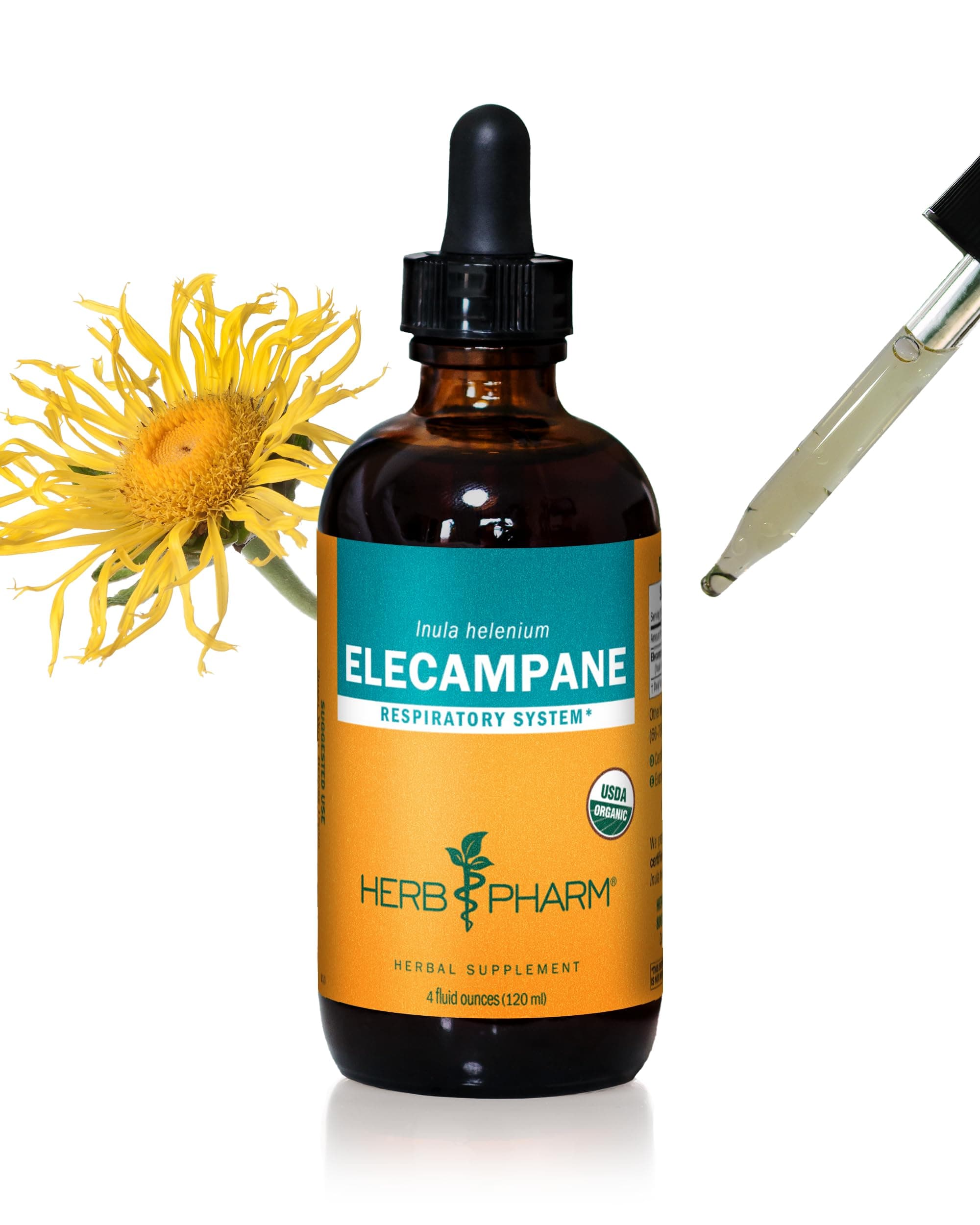Certified Organic Elecampane Liquid Extract for Respiratory System Support - 4 Ounce