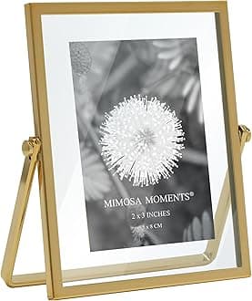 MIMOSA MOMENTS Brass Metal Floating Picture Frame (Brass, 2x3)