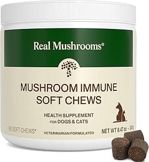 Real Mushroom Immune Pet Chews – For Daily Digestive & Immune Health – Mushrooms for Dogs & Cats Functional Treat – Mushroom Supplement for Dogs & Cats – 1 to 4 Chews For All Breeds & Sizes (60 Count)