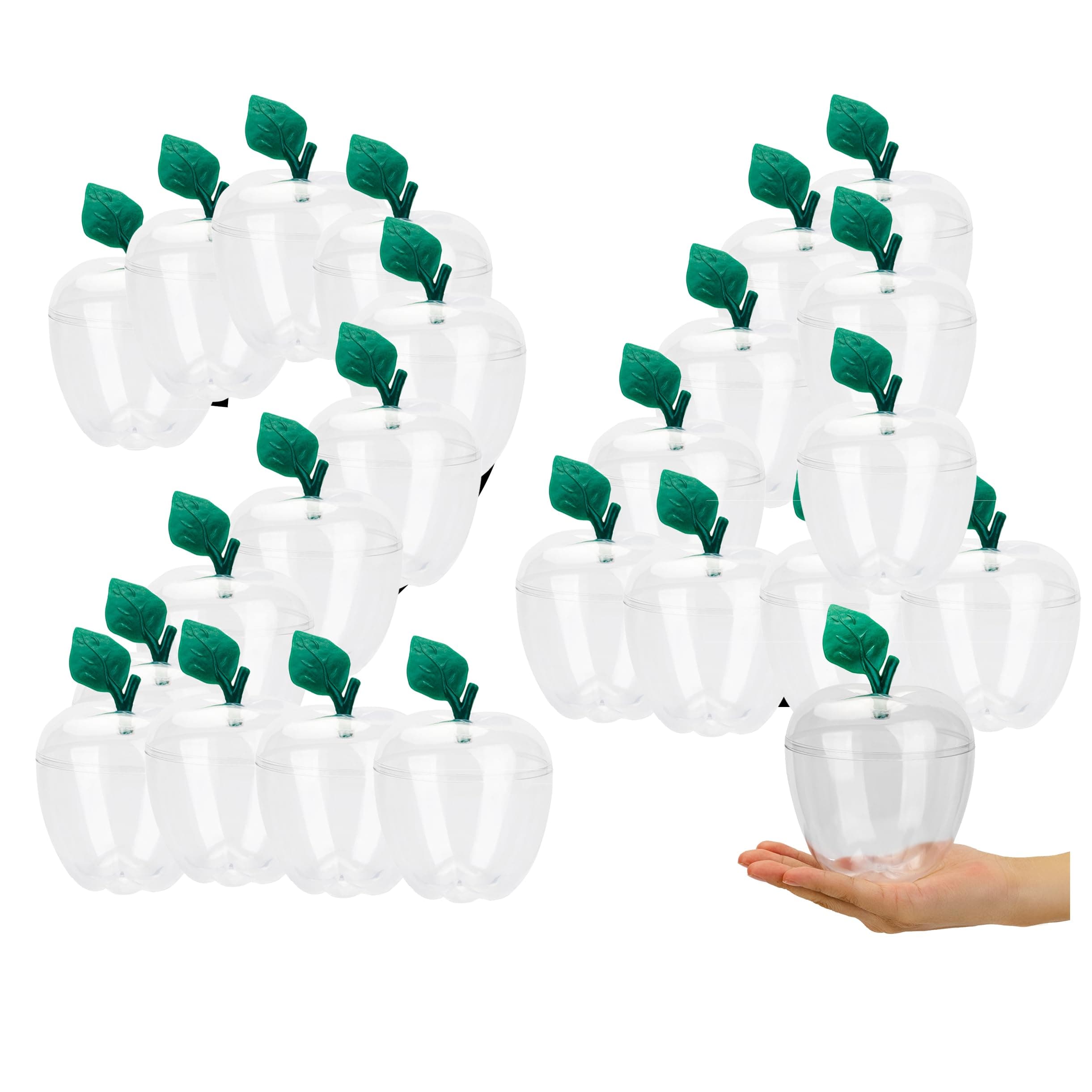 HANZE 24 Pack Large Plastic Apple Containers - Ideal for Teachers Appreciation, Gifts, and Festive Decor, Christmas Gifts and Decorations (Clear)