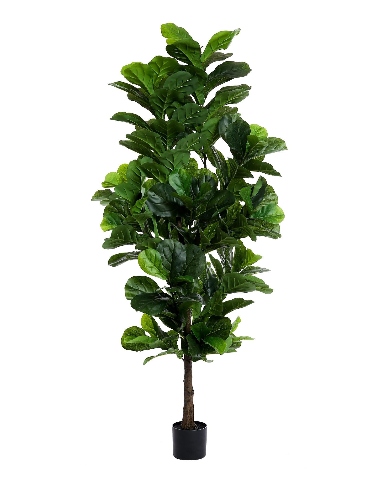 Fiddle Leaf Fig Tree 6ft Tall Artificial Tree in Plastic Pot Fake Ficus Lyrata Plants with 184 Decorative Fiddle Leaves Faux Fig Trees for Home Office Living Room Decor Indoor Outdoor
