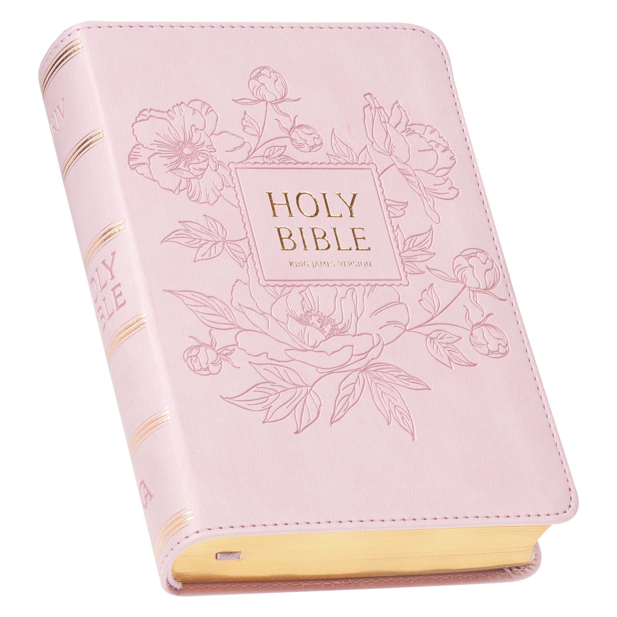 KJV Holy Bible