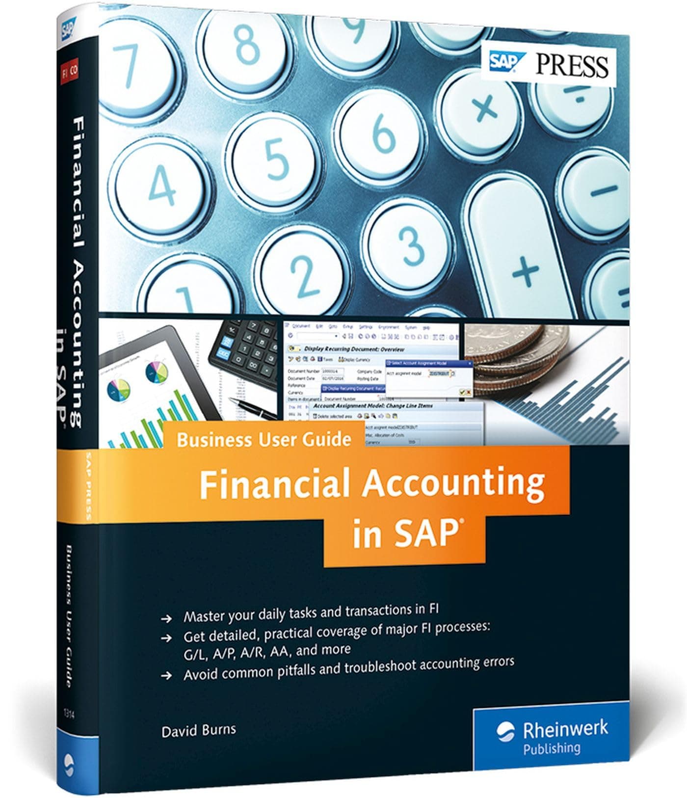 Financial Accounting in SAP: Business User Guide
