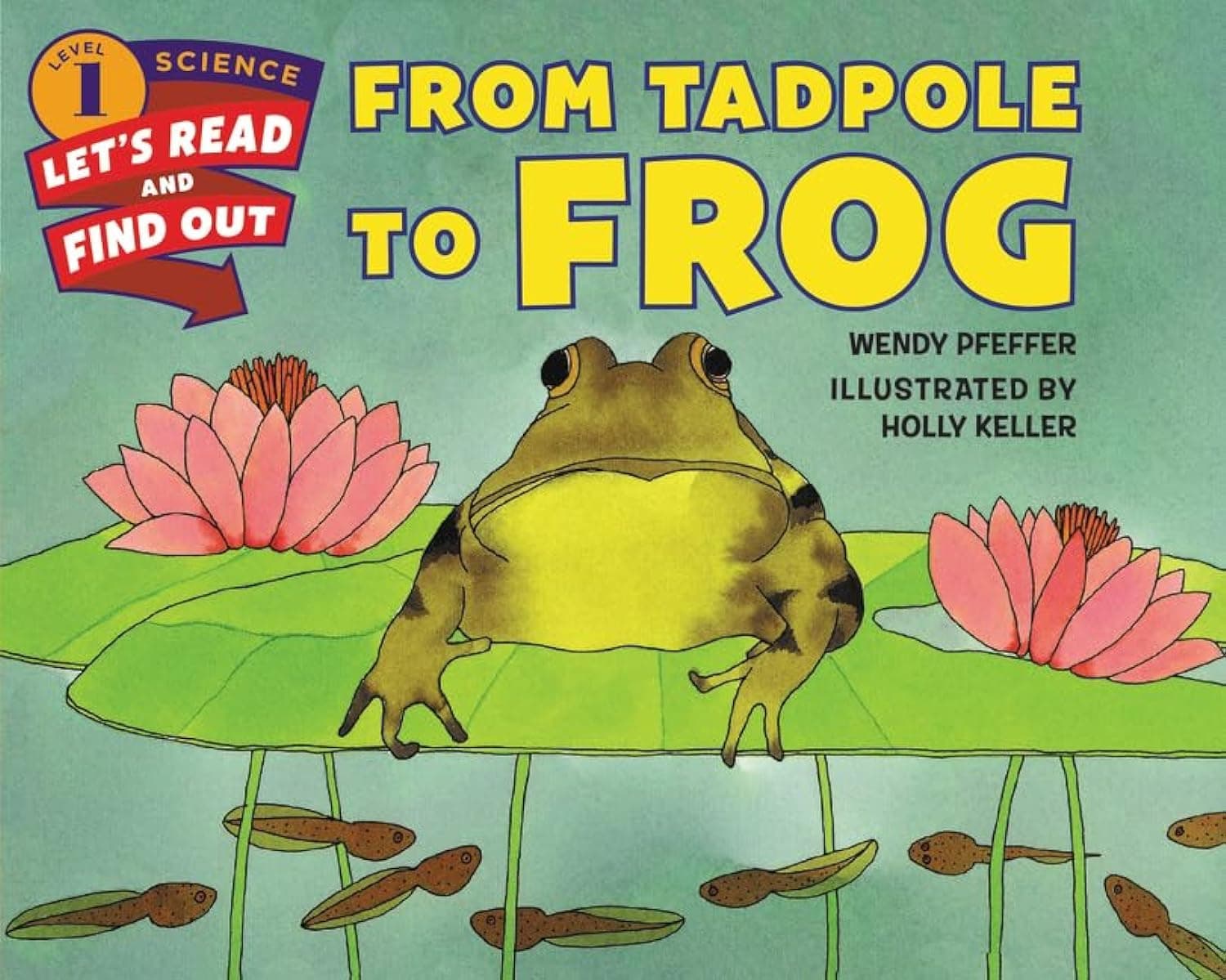FROM TADPOLE TO FROG PB