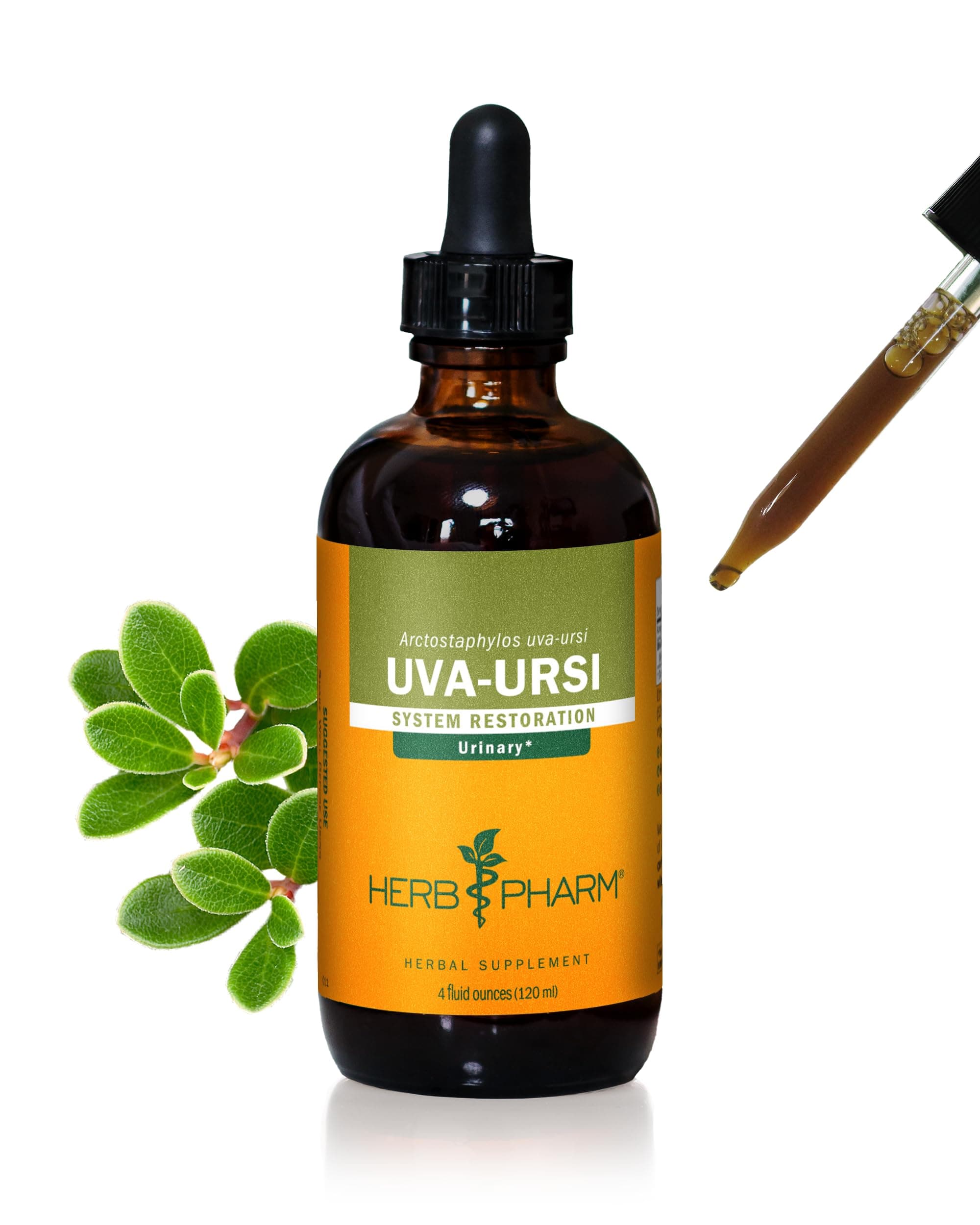 Uva Ursi Liquid Extract for Urinary System Support - 4 Ounce