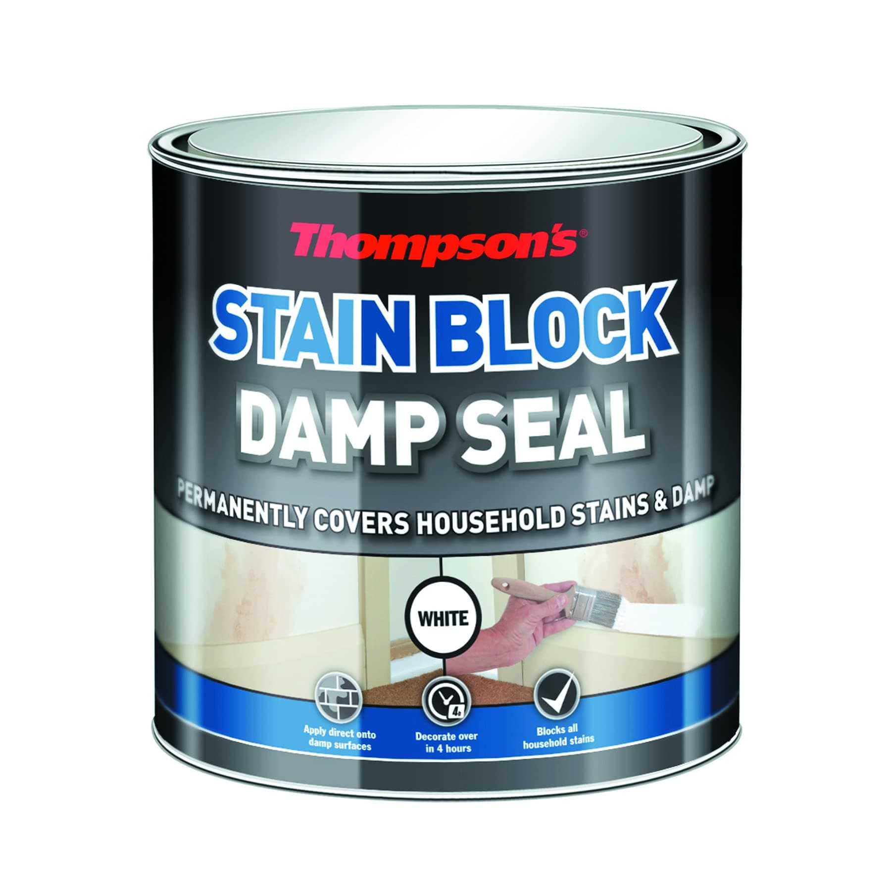 TDS250 250ml Thompsons Damp Seal