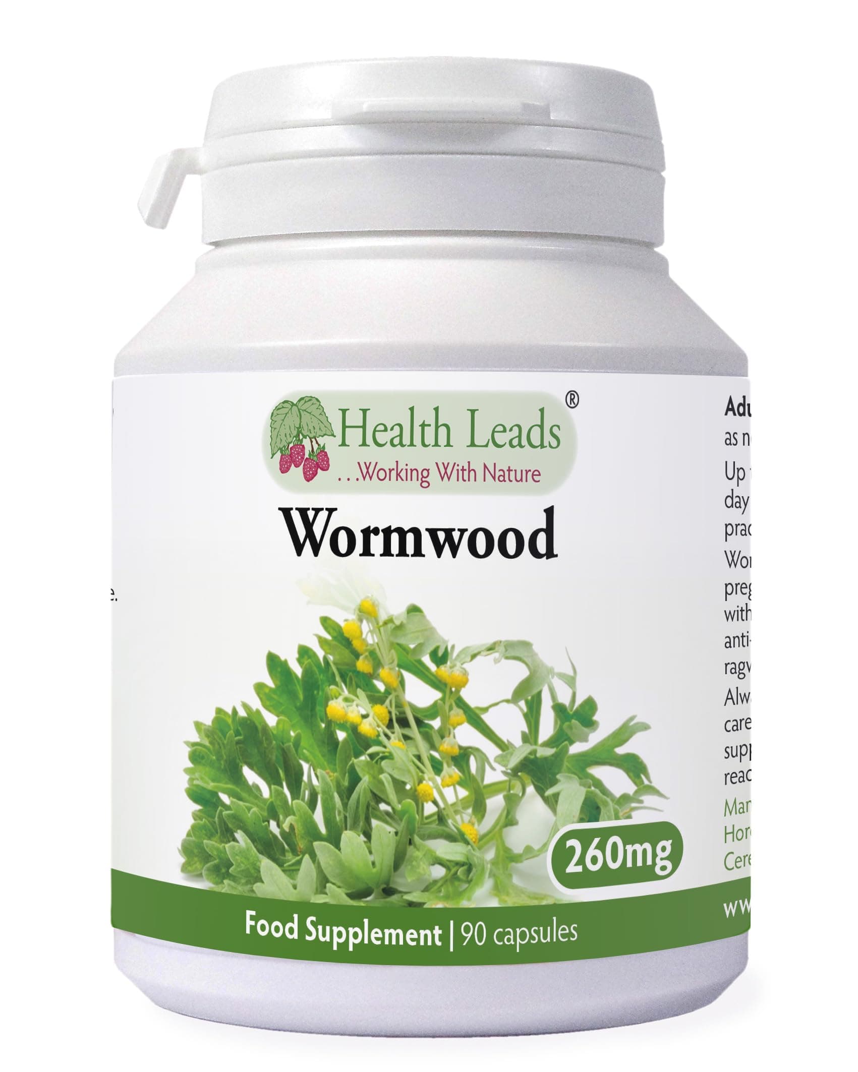 Health Leads Wormwood 260mg x 90 Capsules