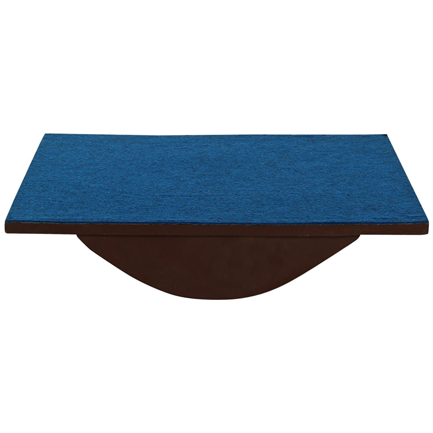 Physiogears Exercise Therapy Balance Board