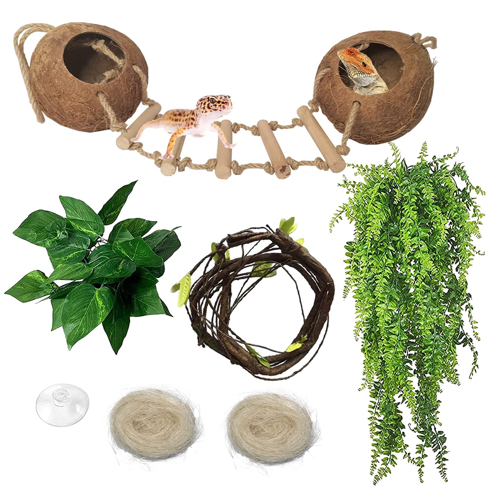 Den Reptile Hideouts