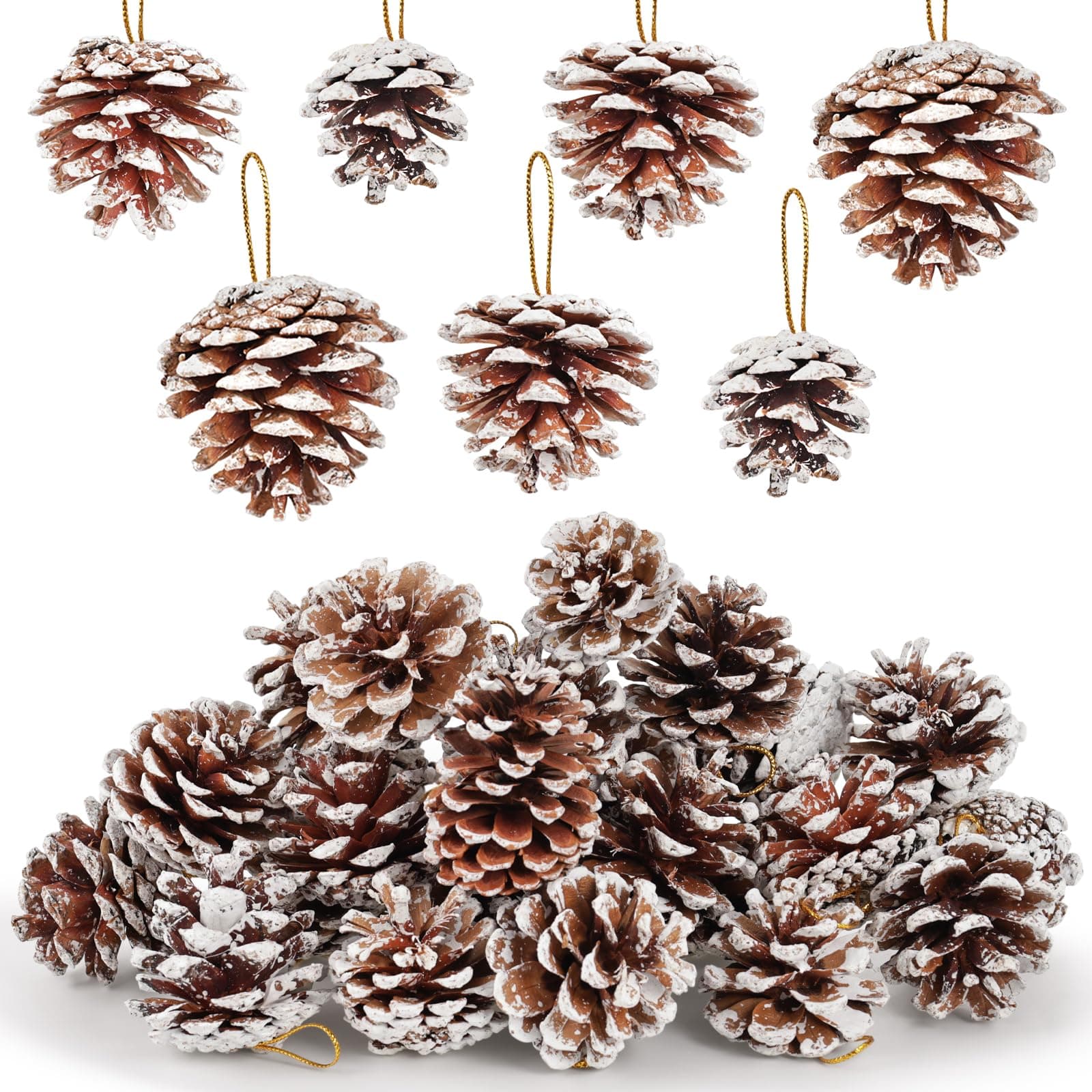 Snow Pine Cones