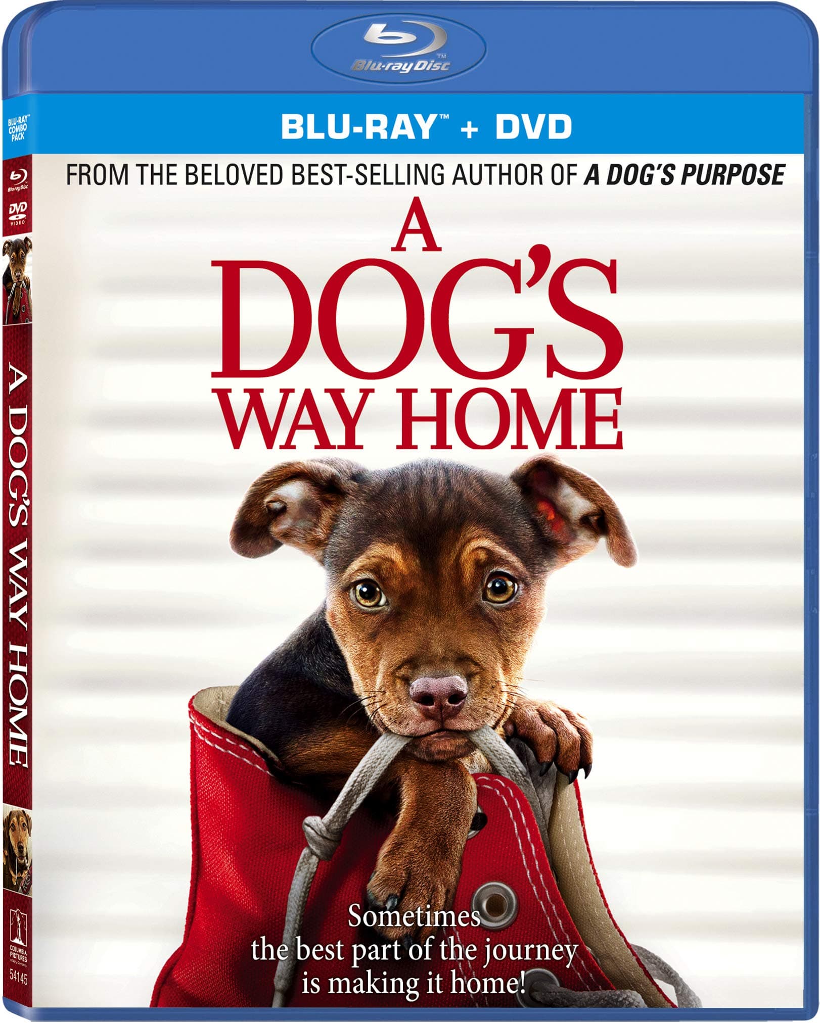 A Dog's Way Home - Blu-ray + DVD + Digital