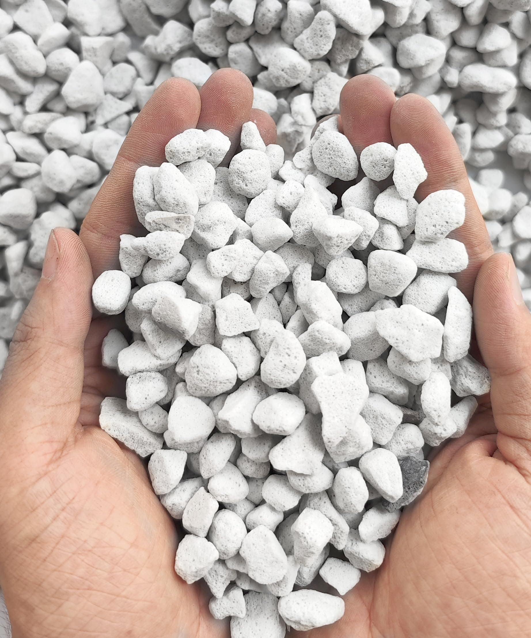 Organic Perlite and Vermiculite Horticultural